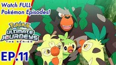 Pokémon Ultimate Journeys: The Series | EP11 A One-Stick Wonder!