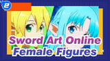 [Sword Art Online] Leave a Good Name Forever / All Female Figures / Alice / Haiyi_2