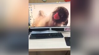 Ai nhốt em tui trong đó vậy :)) chó chó_cưng chócute thucung thúcưng cún cúncon pug pet fyp