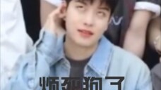 【金昇玟】狗狗录应援法的时候在干什么?(被队友伤害版)