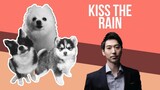 Kiss The Rain but it's Doggos and Gabe