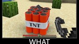 Minecraft รออะไร meme part 88 minecraft ที่เหมือนจริง TNT