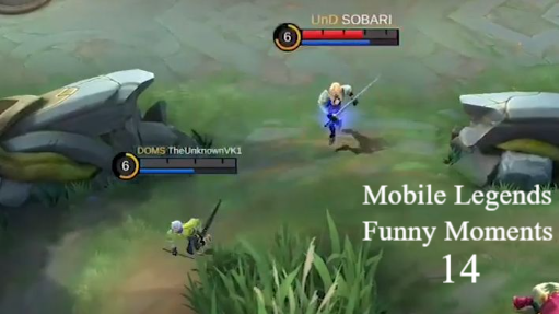 Mobile Legends Funny moments 14