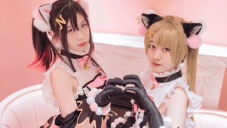 【Tính năng Cosplay】 Yazawa Nicole x Minami Bird の Cat Double Ponytail ❤️ 【đáng yêu】