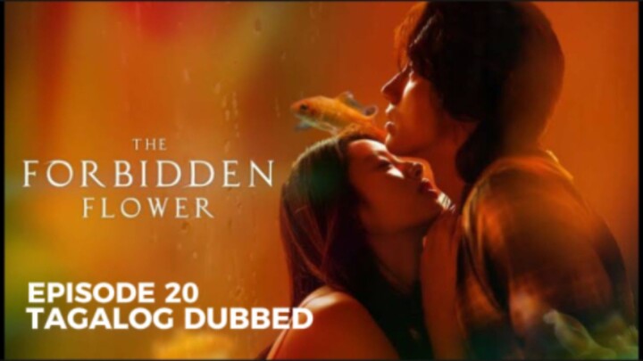The Forbidden Flower Episode 20 Tagalog Dubbed
