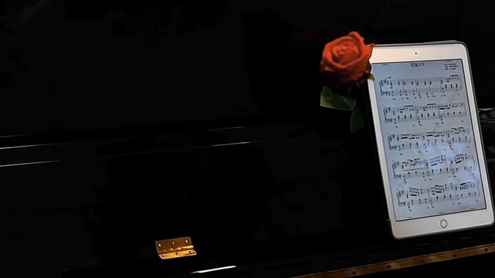 Rose Boy】"Piano" "Mawar seluas 16.000 hektar yang membalikkan dunia telah jatuh, tetapi musim panasm