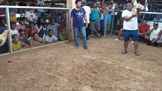 RBI fam 04/16/23