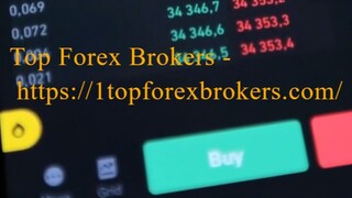 Discover the Best Forex Brokers!