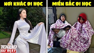 "Gọi Hồn" Những "Đặc Sản" Ở Miền Bắc Việt Nam: Đến Hẹn Lại... Nồm