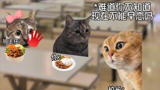 【猫meme】当班主任长的很显小时