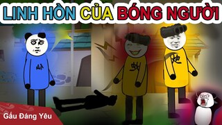 Gấu Đáng Yêu: LINH HỒN CỦA BÓNG NGƯỜI | Phim gấu hài hước kinh dị