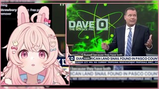 Vtuber talks about snails