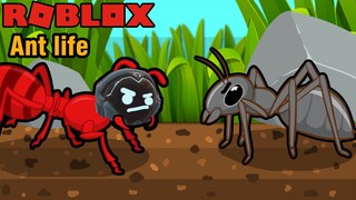 Roblox ฮาๆ:ประสบการณ์ ในชีวิตมด:Ant life:Roblox สนุกๆ