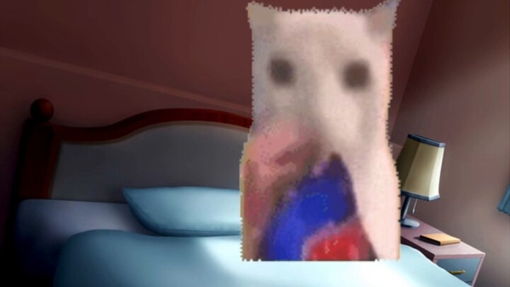 【Cat meme】Ambush by a second dimension doctor in a mental hospital