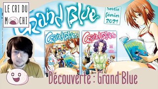 GRAND BLUE, plus qu'un GROS DÉLIRE BOURRIN ?