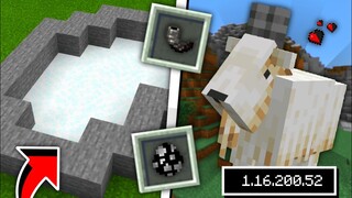 MINECRAFT 1.16.200.52 (OFFICIAL BETA UPDATE)