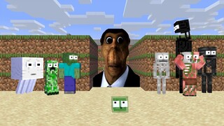 Monster School : OBUNGA FACE CHALLENGE FUNNY - Minecraft Animation