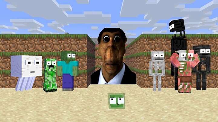 Monster School : OBUNGA FACE MAZE FUNNY CHALLENGE - Minecraft Animation