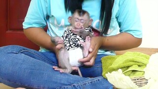 So Adorable!! Tiny Baby Maki Sit Sleep Well On Leg Mom While Sit Watching Mom Cutting Vegetables