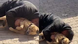 Seorang pria mabuk tidur di pinggir jalan dengan anjingnya di pelukannya. Anjing: Dia tidak pernah b