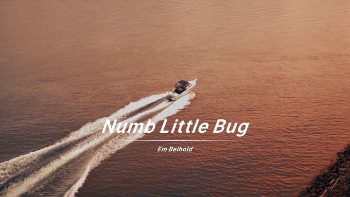 Hát những ca từ buồn trong "Numb Little Bug" với giọng hát trong trẻo