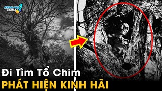 ✈️  7 Cái Cây Bí Ẩn Và Kỳ Lạ Nhất Thế Giới Mà Bạn Không Tin Là Chúng Tồn Tại | Khám Phá Đó Đây