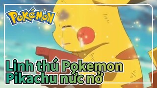 Linh thú Pokemon|Pikachu nức nở  và tuổi thơ phai nhòa