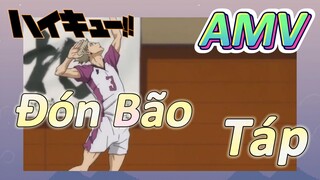 [Haikyu!!] AMV |Đón Bão Táp