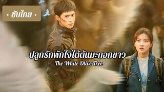 Ep 6