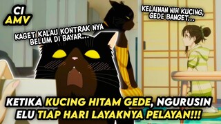 Aku juga mau dong, punya kucing kayak gini...