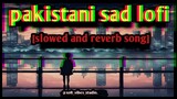 Pakistani sad lofi song 2024  album