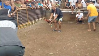 win for day naunahan pero lalaban