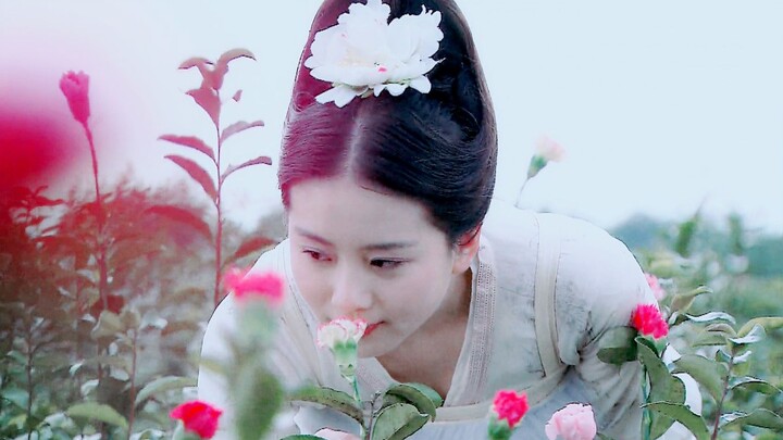 【Liu Shishi's Ancient Costume】Twenty-four Flowers Personification