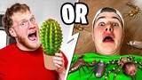 WOULD YOU RATHER IN REAL LIFE (do not try)