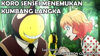 Jebakan Majalah Dewasa Gagal Gara-gara Kumbang Langka ❗️❗️ - Assassination Classroom