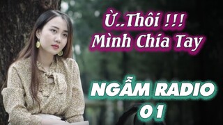 DỪNG LẠI ĐÂY THÔI | Ngày đẹp trời thế này, mình lại chia tay, anh có thấy buồn không? NGẪM RADIO