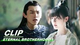 Zichuan Xiu was Framed | Eternal Brotherhood 1 EP6 | 紫川·光明三杰 | iQIYI