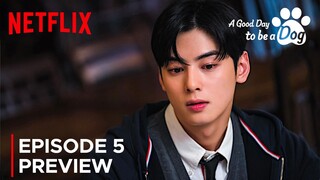 A Good Day to be a Dog | Episode 5 Preview | Cha Eun Woo | Park Gyu Young {ENG SUB}