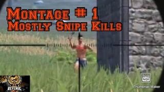 [LDRS] Montage # 1 - Mostly Snipe Kills