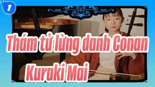 [Thám tử lừng danh Conan] [Erhu&Piano] Kuraki Mai| Bức thư tình màu đỏ thẫm_1