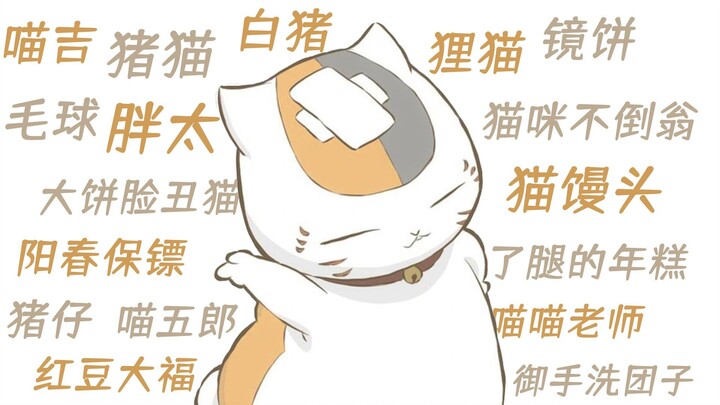 【夏目友人帐】猫咪老师到底有多少外号？