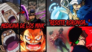 LUFFY Recibirá la Medicina de los MINK al FINAL de Wano? | LAW Le Quitará el DOLOR a ZORO como KUMA?