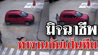 @Awesome Videos ทำงานกันเป็นทีม พวกมิจฉาชีพ