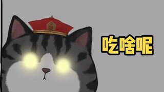 你  家  的  猫