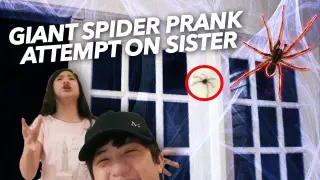 GIANT SPIDER PRANK ATTEMPT ON SISTER | Ranz and Niana
