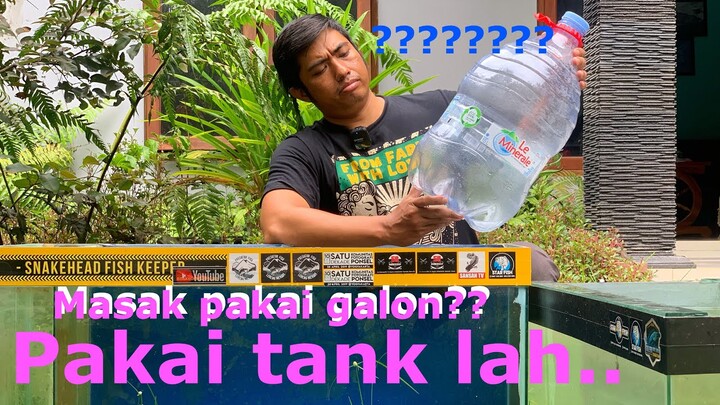 Treatment maru di galon vs treatment maru di tank..siapa paling benar??