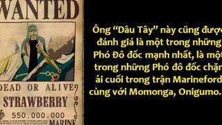 Nếu Hải Quân Bị Truy Nã Sẽ Có Tiền Thưởng Bao Nhiêu p4