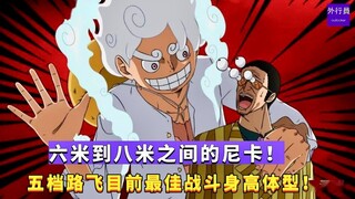 Nikka từ 6 mét đến 8 mét! Gear 5 Luffy có chiều cao chiến đấu và hình dáng cơ thể tốt nhất hiện nay!