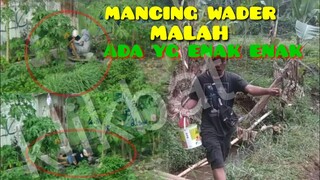 MANCING WADER MALAH MERGOKIN..