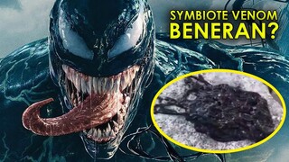 HEBOH DI TWITTER! PENJELASAN EASTER EGG VENOM DI FILM MORBIUS.